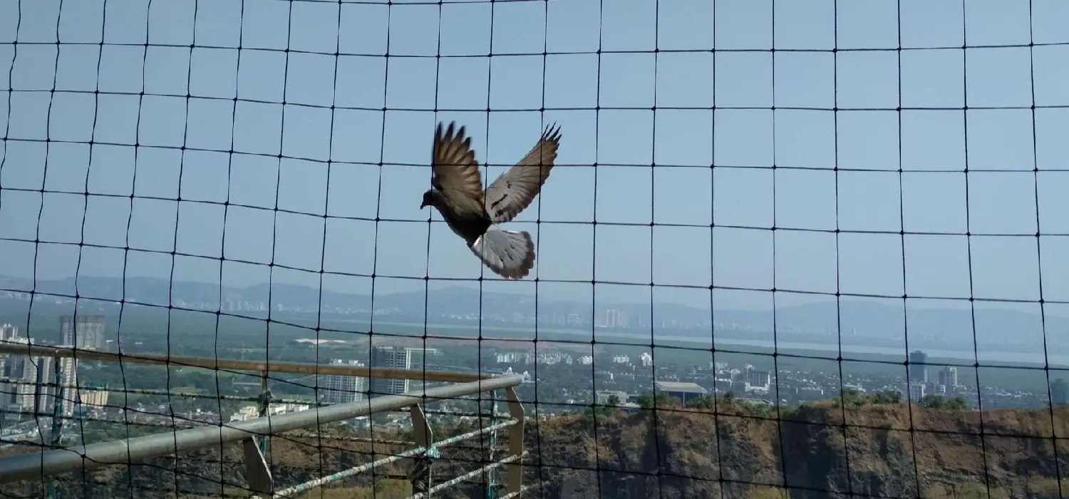 Bird safety netting installed on a balcony