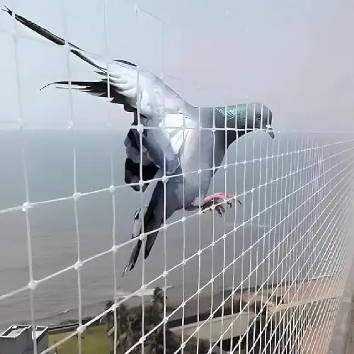 Bird netting service for balconies
